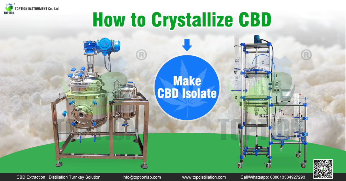 cbd crystallization reactor