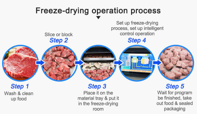 freeze dryer operation process