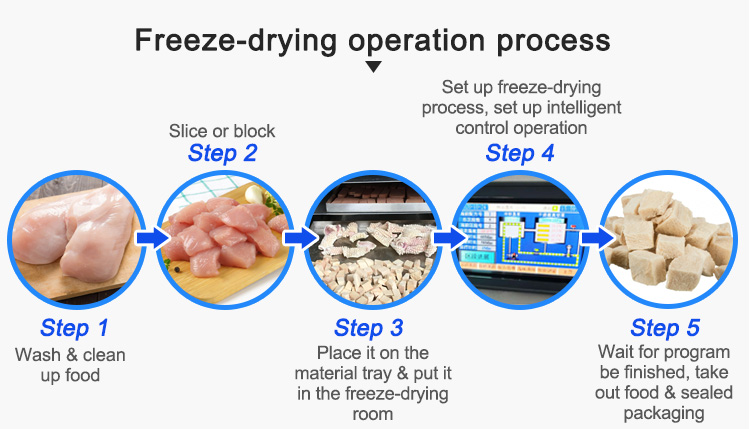 freeze drying process