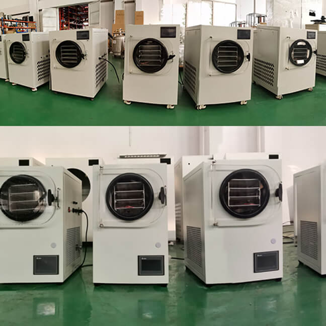 home freeze drying equipment supplier