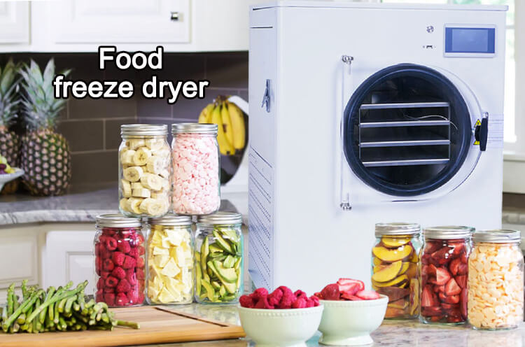 Commercial freeze dryer