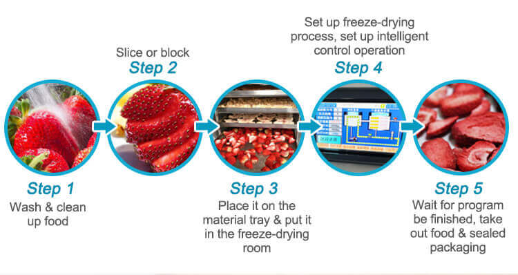 freeze dryer operation process