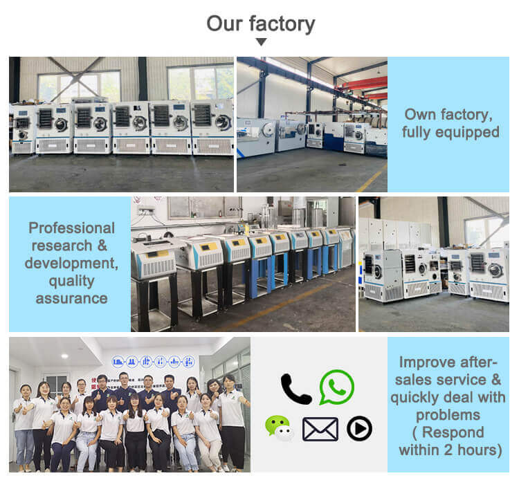 freeze dryer factory supplier