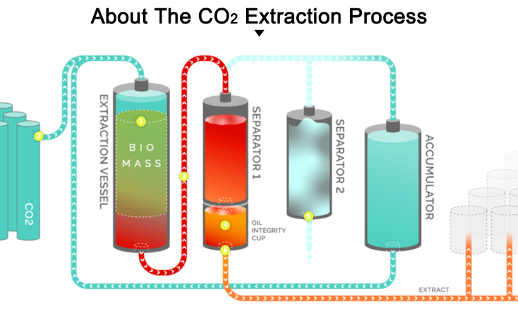 SupercriticalCO2 Extraction